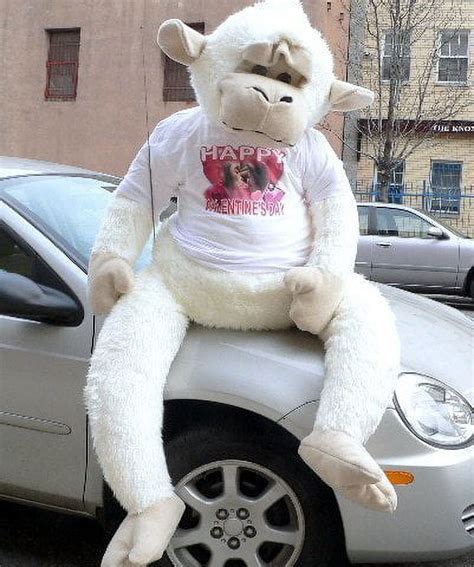 cheap giant valentines day stuffed animals